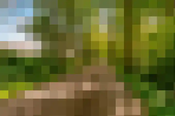 Hondsdrafstraat 8 Vught thumbnail 52