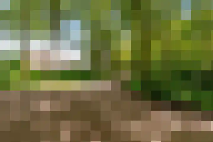 Hondsdrafstraat 8 Vught thumbnail 53