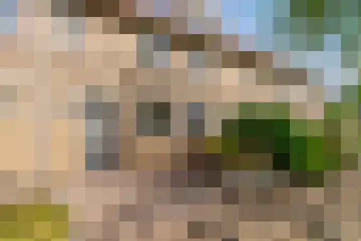 Hondsdrafstraat 8 Vught thumbnail 58