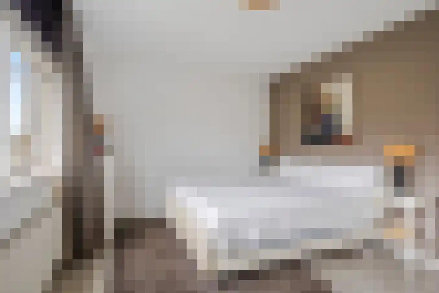 Hondsdrafveld 15 Den Haag thumbnail 20