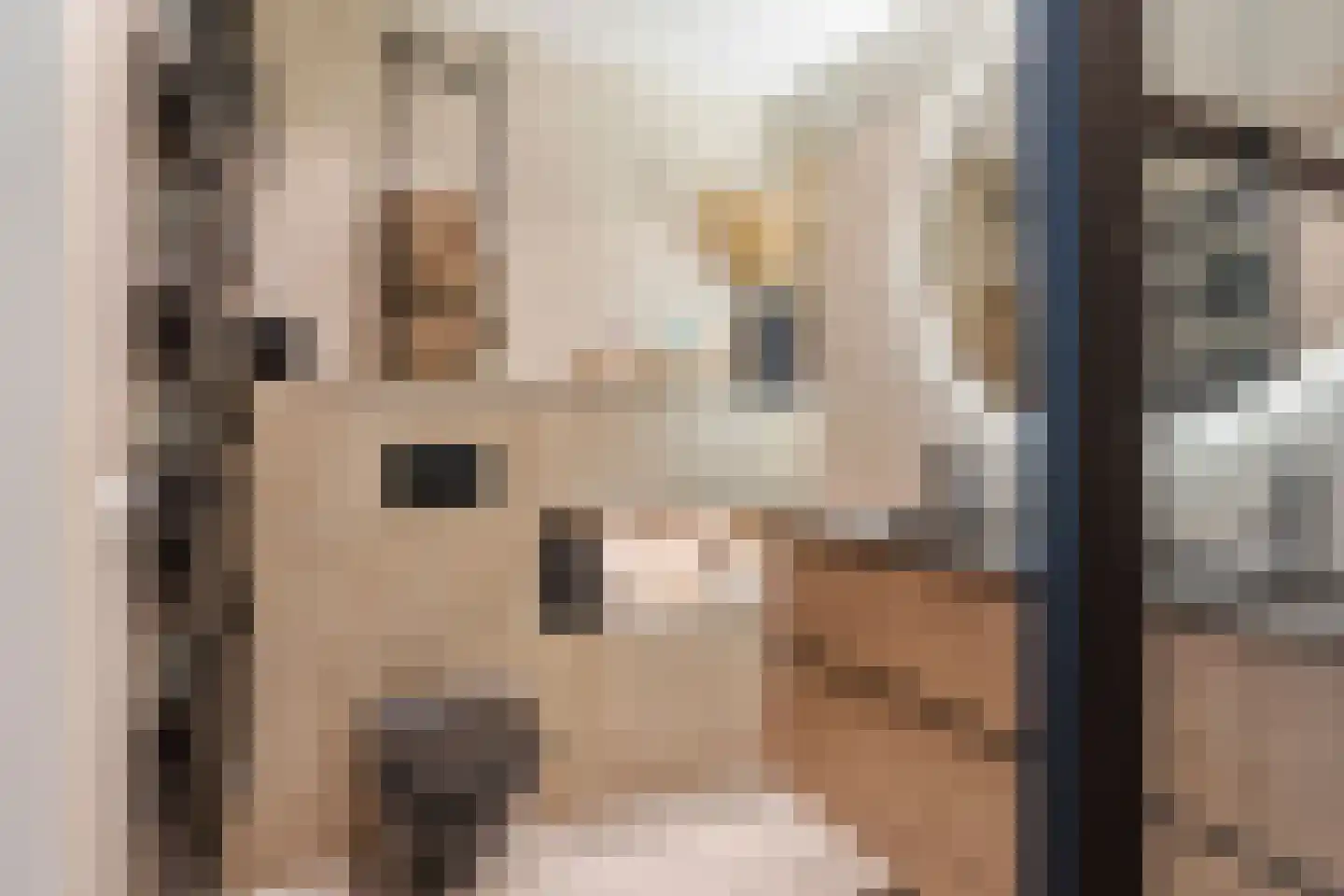 Hondsdrafveld 15 Den Haag thumbnail 22