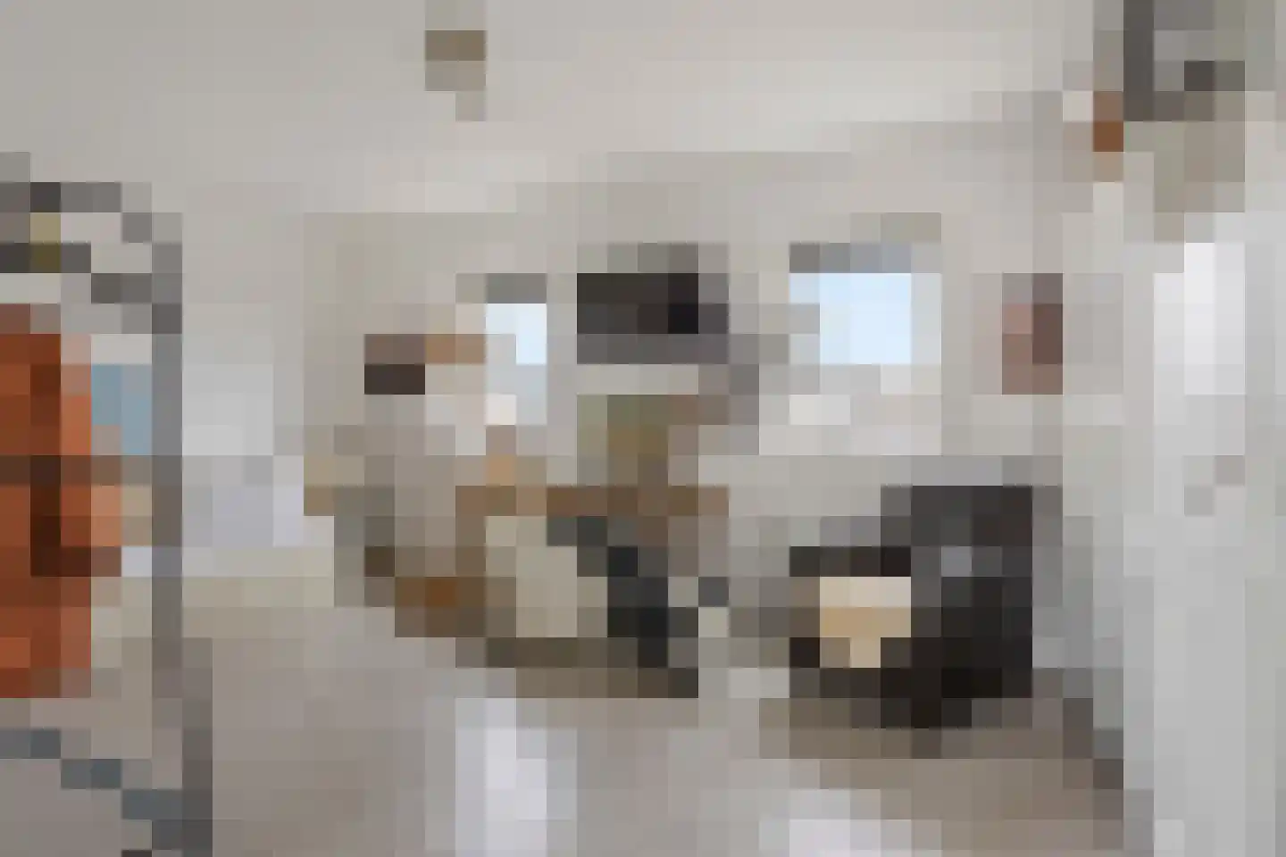 Hondsdrafveld 15 Den Haag thumbnail 27