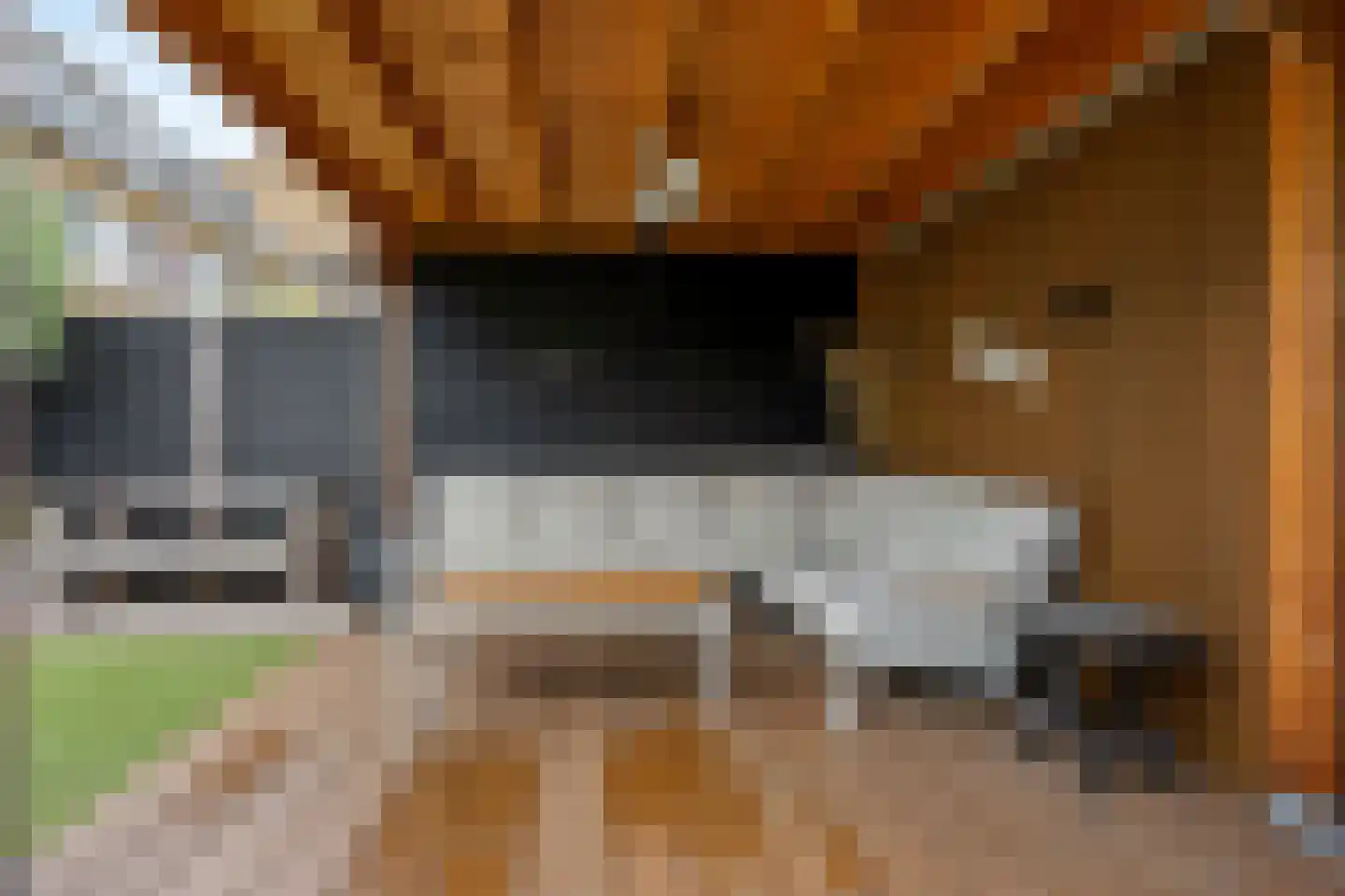 Hondsdrafveld 15 Den Haag thumbnail 33