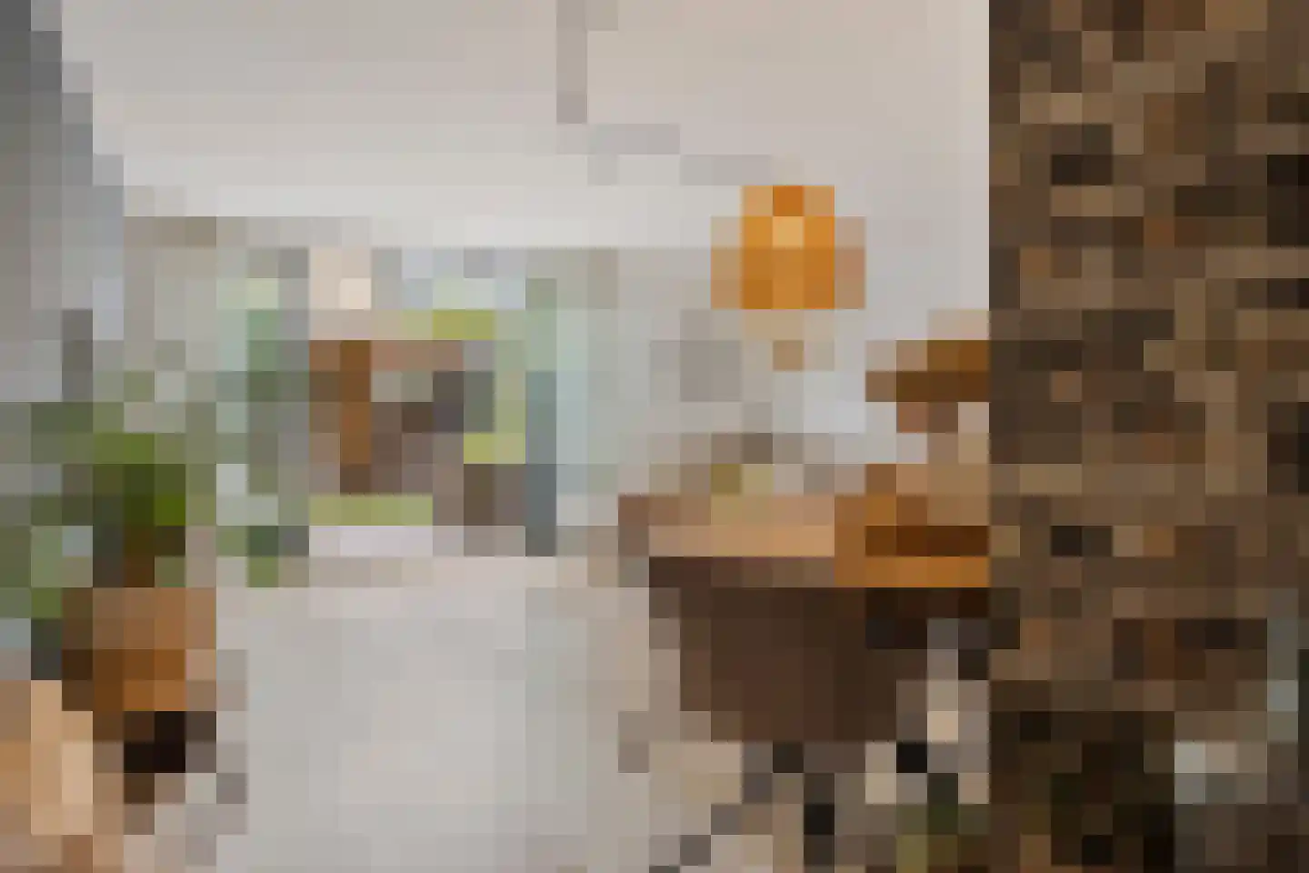 Hondsdrafveld 15 Den Haag thumbnail 5