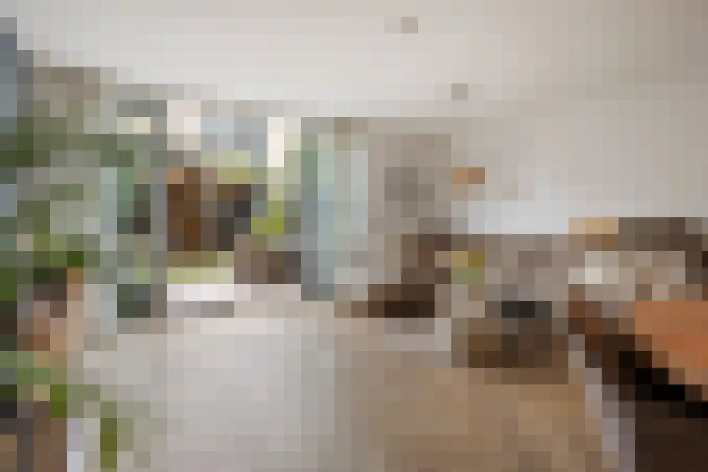 Hondsdrafveld 15 Den Haag thumbnail 6