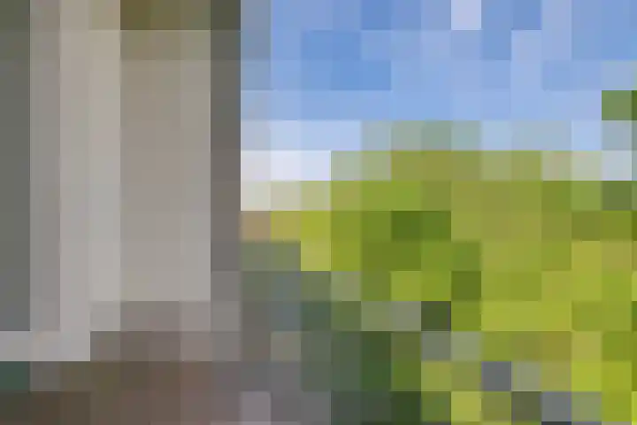 Hondsdrafweg 26 Zaandam thumbnail 15