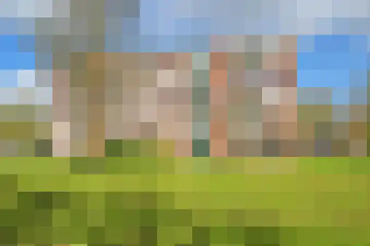 Hondsdrafweg 26 Zaandam thumbnail 22