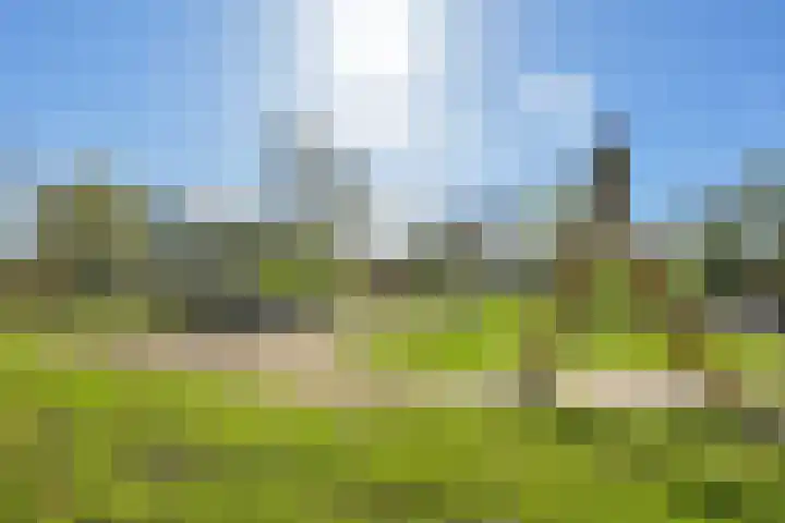 Hondsdrafweg 26 Zaandam thumbnail 23