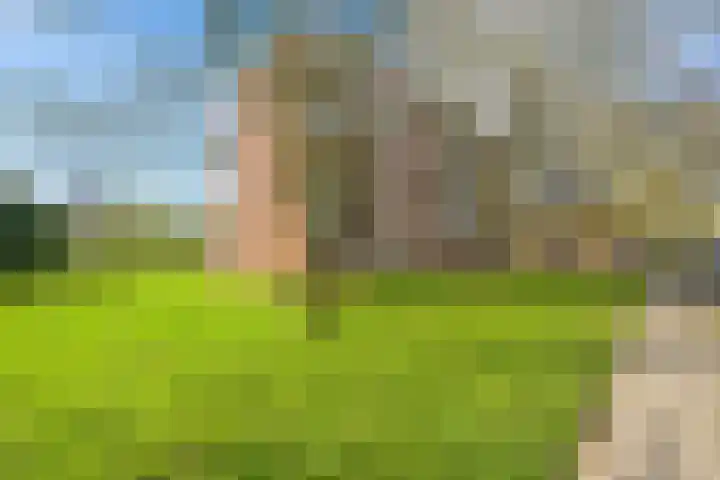 Hondsdrafweg 26 Zaandam thumbnail 25