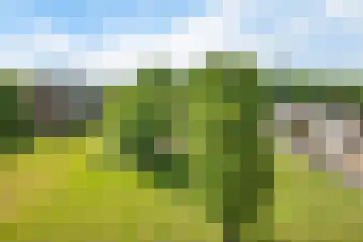 Hondsdrafweg 26 Zaandam thumbnail 31