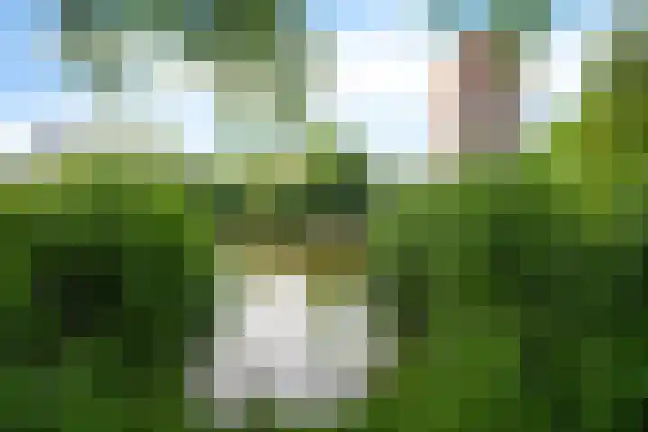Hondsdrafweg 26 Zaandam thumbnail 32