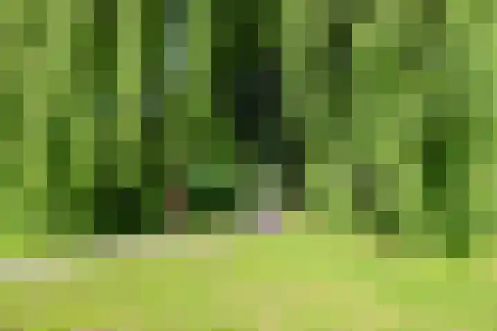 Hondsdrafweg 26 Zaandam thumbnail 33