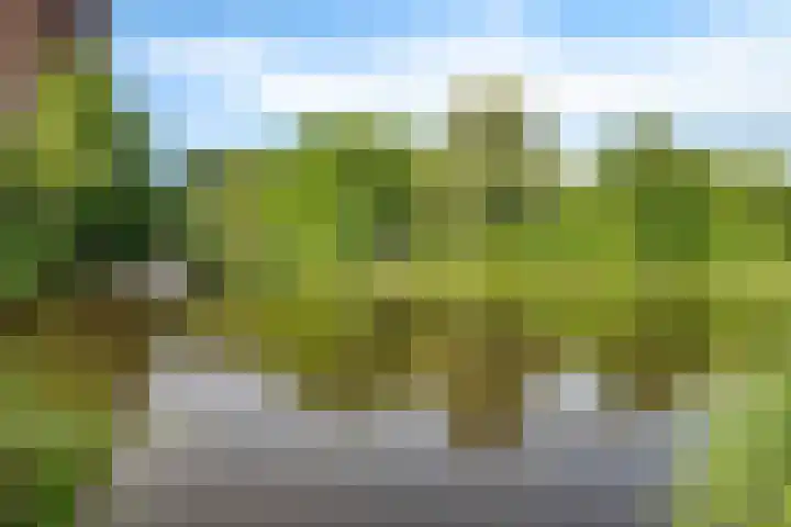 Hondsdrafweg 26 Zaandam thumbnail 35