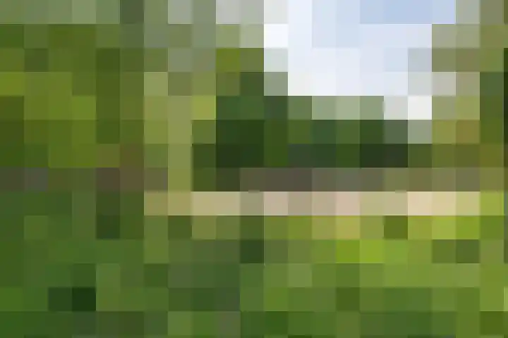 Hondsdrafweg 26 Zaandam thumbnail 37