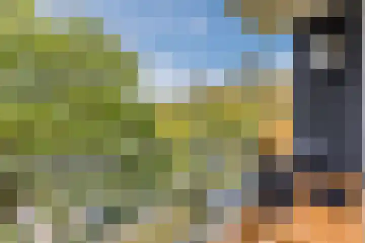 Hondsdrafweg 34 Zaandam thumbnail 26