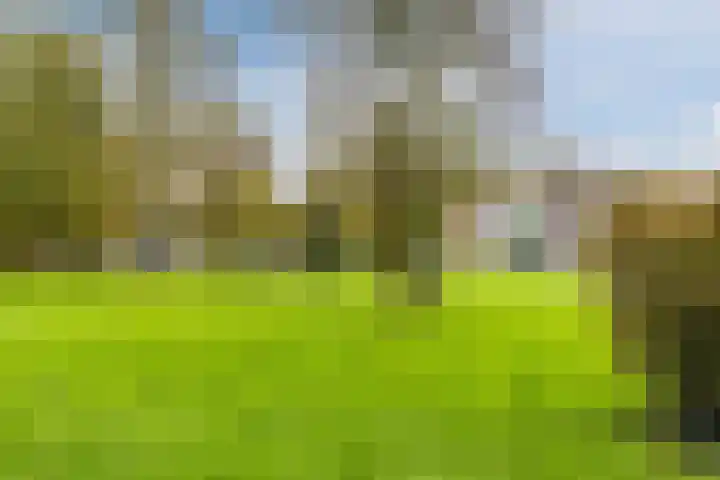 Hondsdrafweg 34 Zaandam thumbnail 27