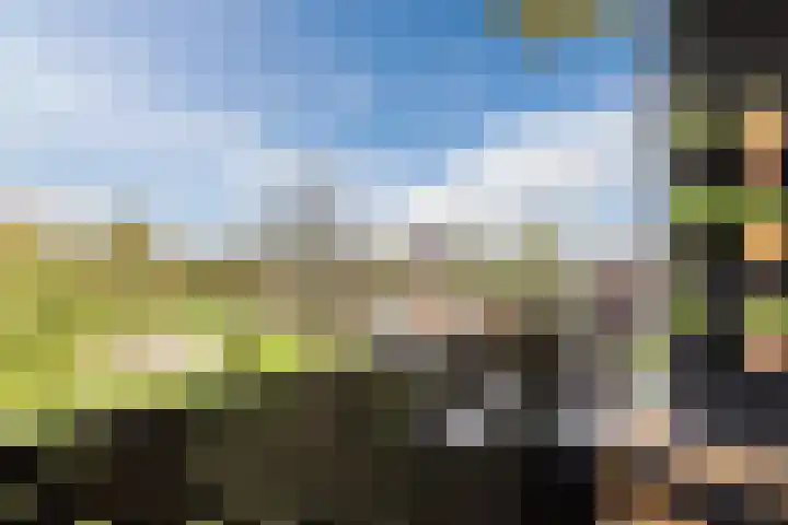 Hondsdrafweg 34 Zaandam thumbnail 4