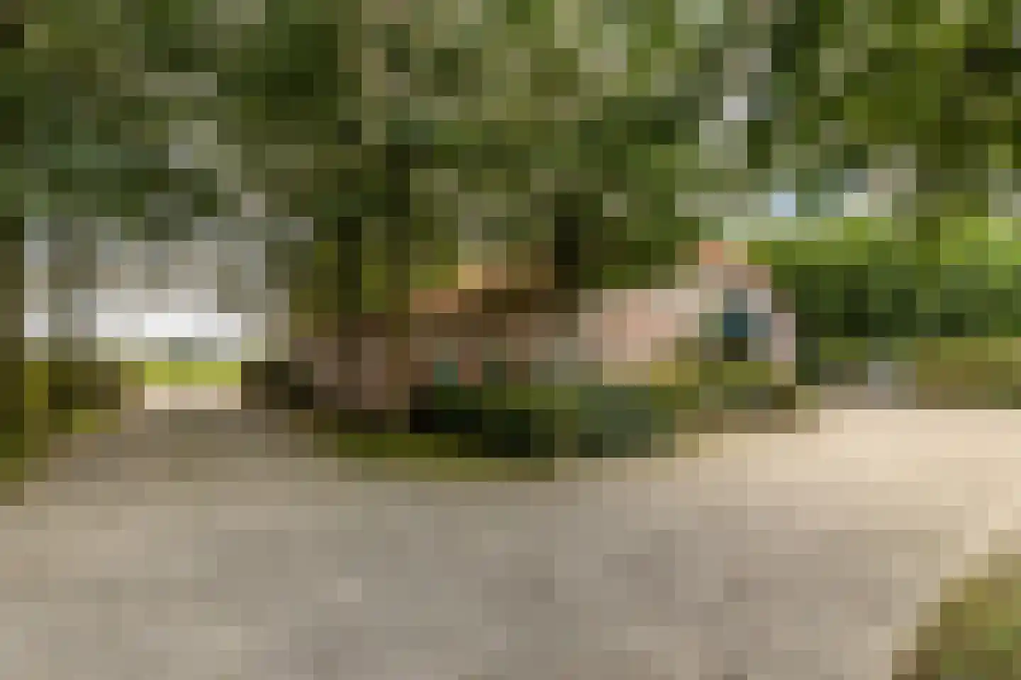 Hondseind 7 Alphen thumbnail 23