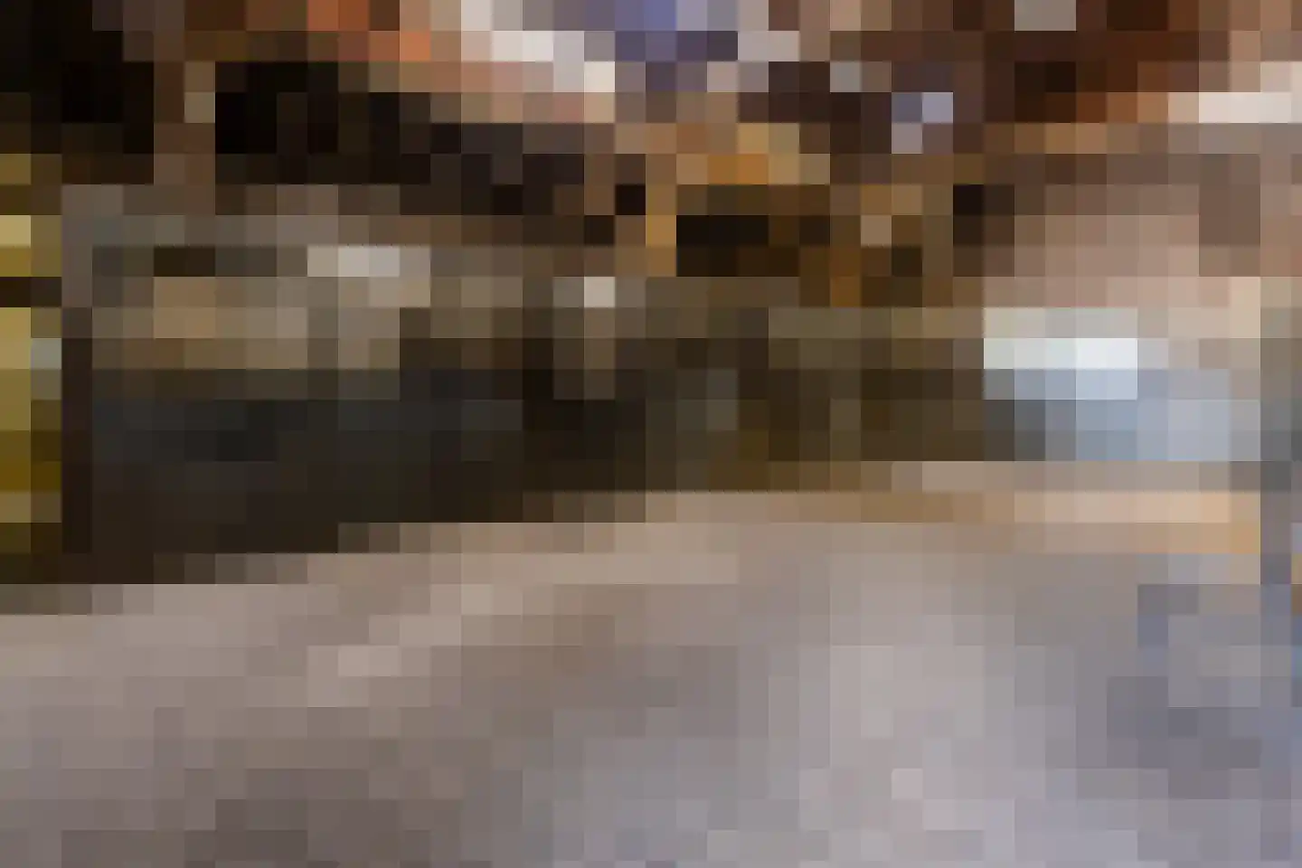 Hondseind 7 Alphen thumbnail 24