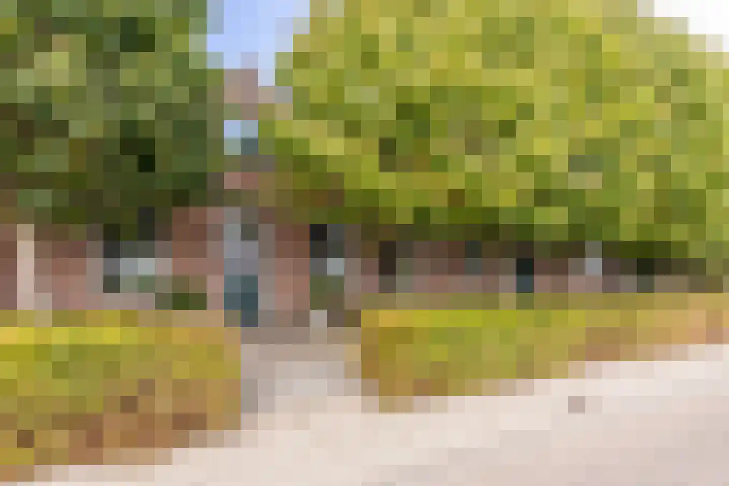 Hondseind 7 Alphen foto 3