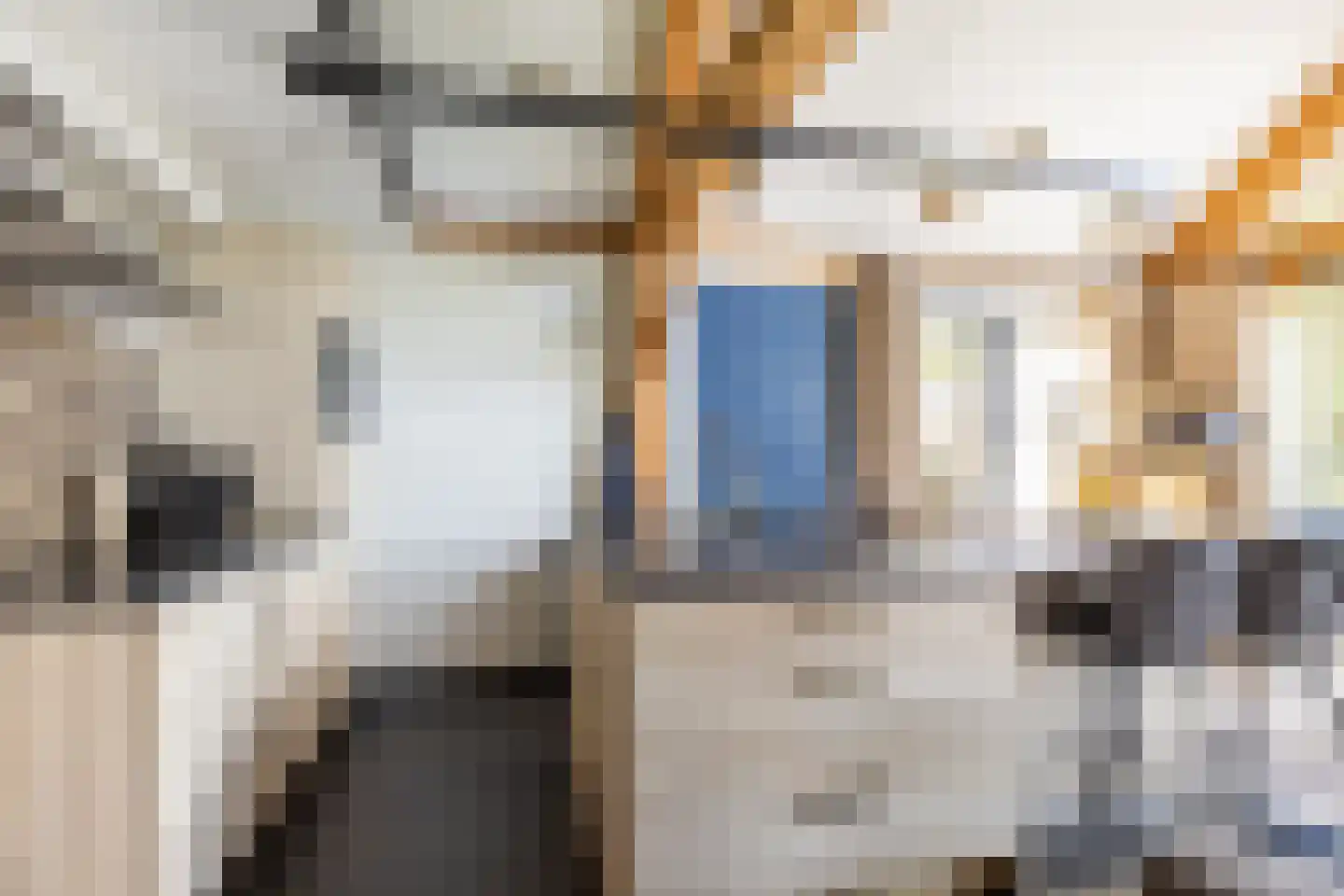 Hondseind 7 Alphen thumbnail 30