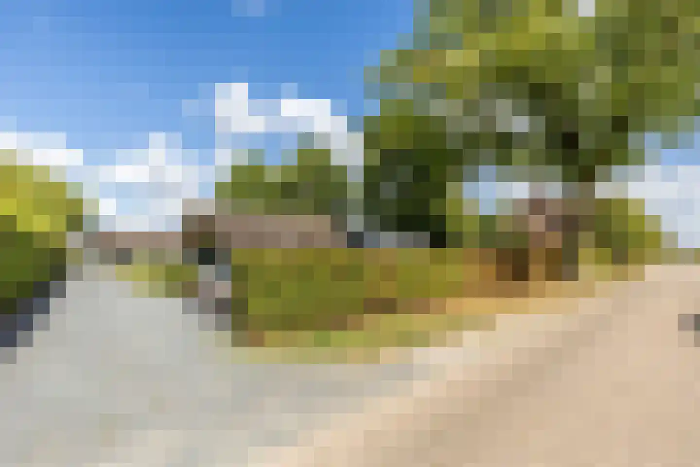 Hondseind 7 Alphen thumbnail 36