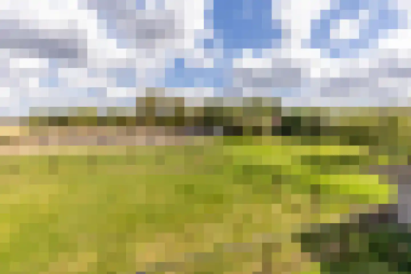 Hondseind 7 Alphen thumbnail 39