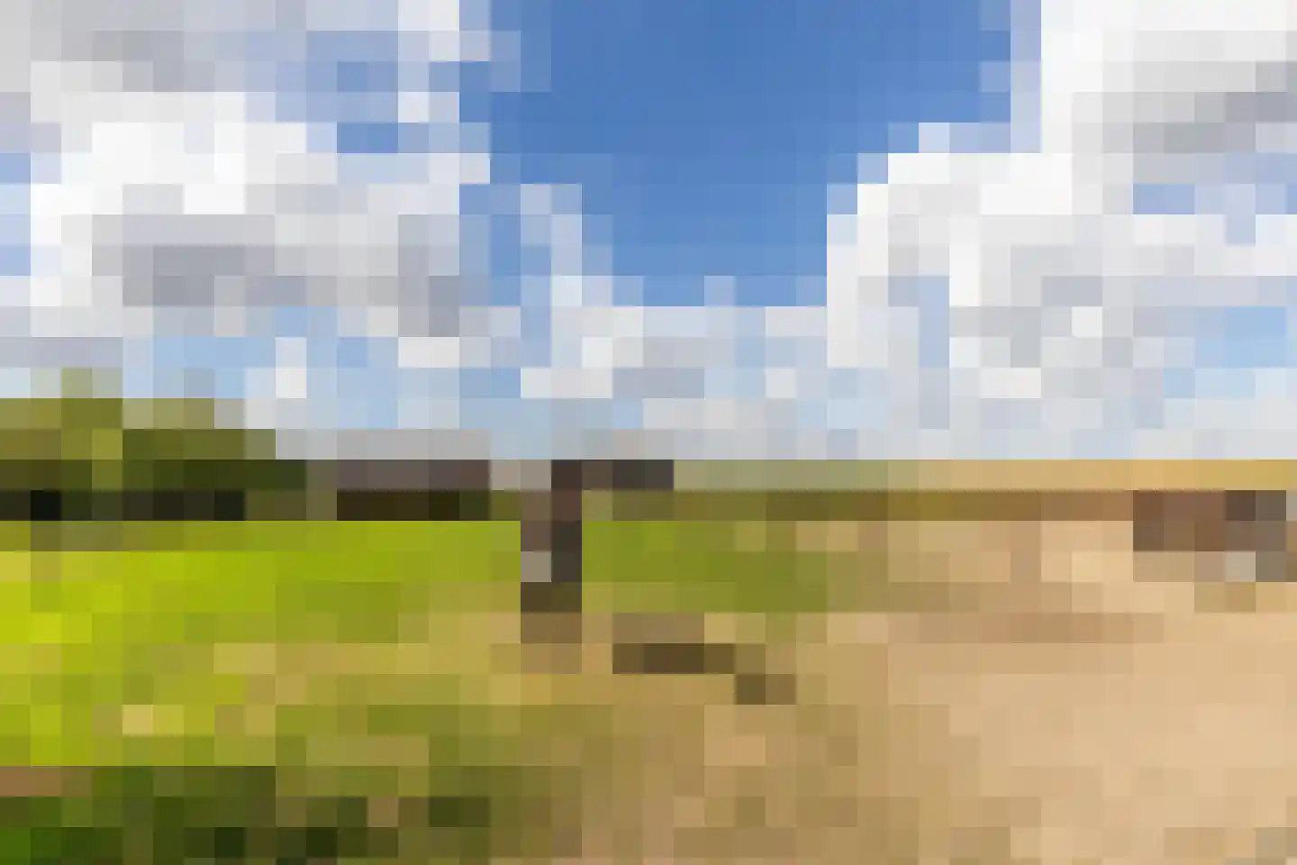 Hondseind 7 Alphen thumbnail 43