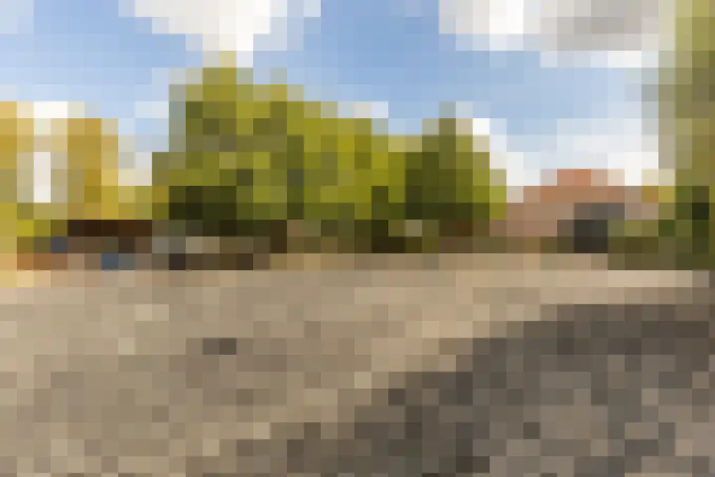 Hondseind 7 Alphen thumbnail 44
