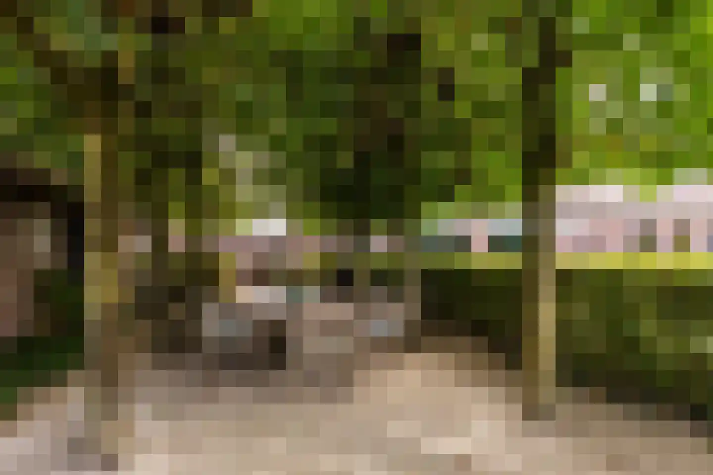 Hondseind 7 Alphen thumbnail 46