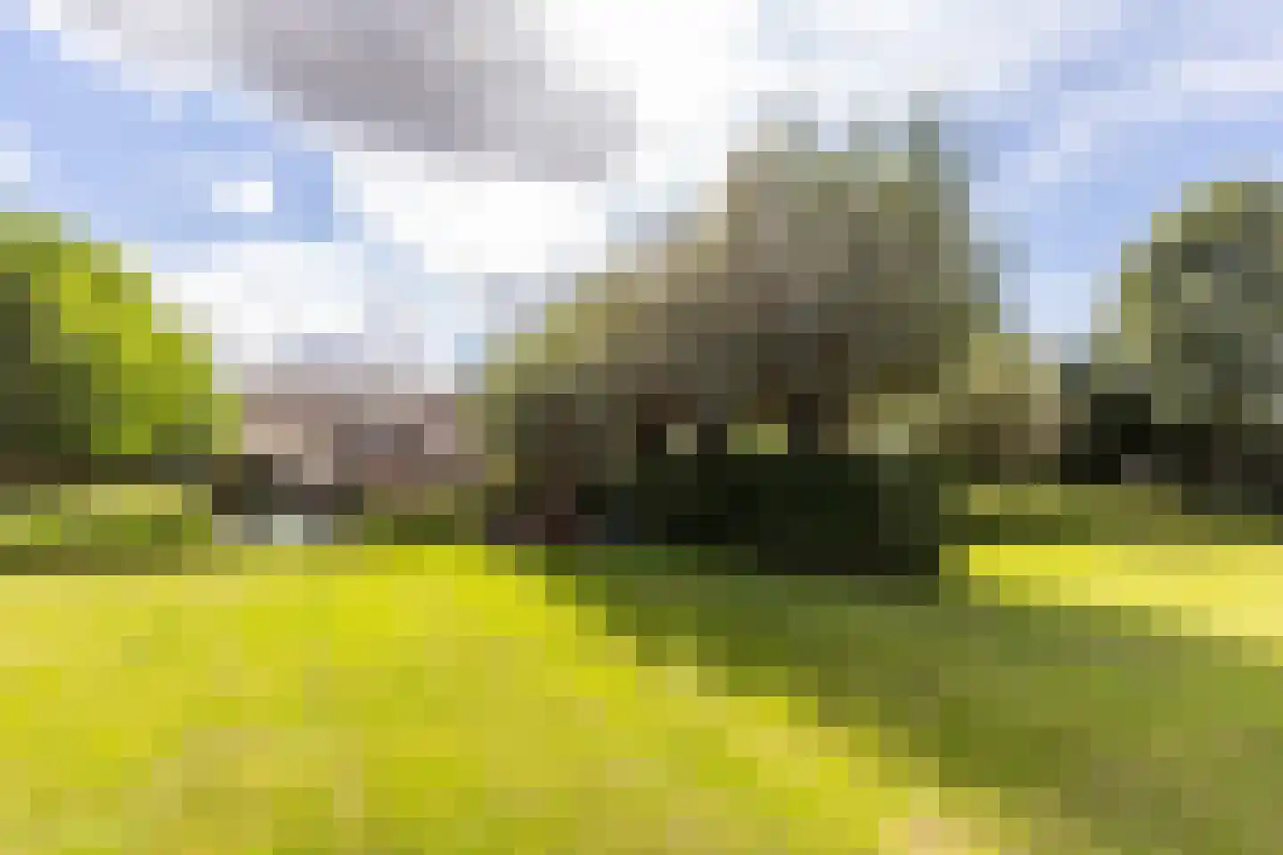 Hondseind 7 Alphen thumbnail 49