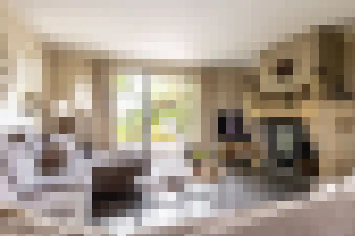 Hondseind 7 Alphen thumbnail 5