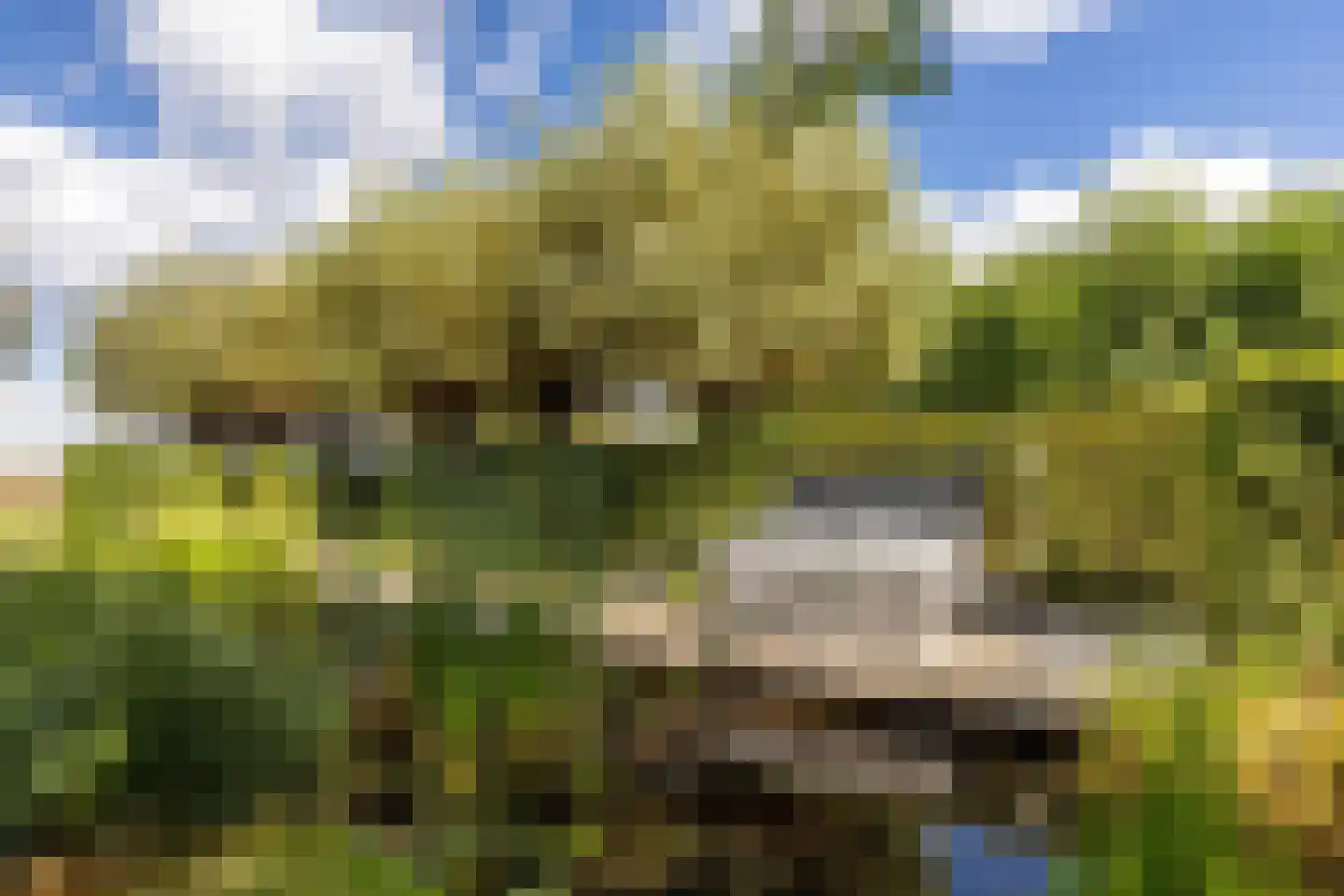 Hondseind 7 Alphen thumbnail 50