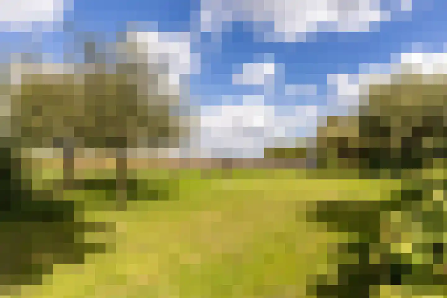 Hondseind 7 Alphen thumbnail 51