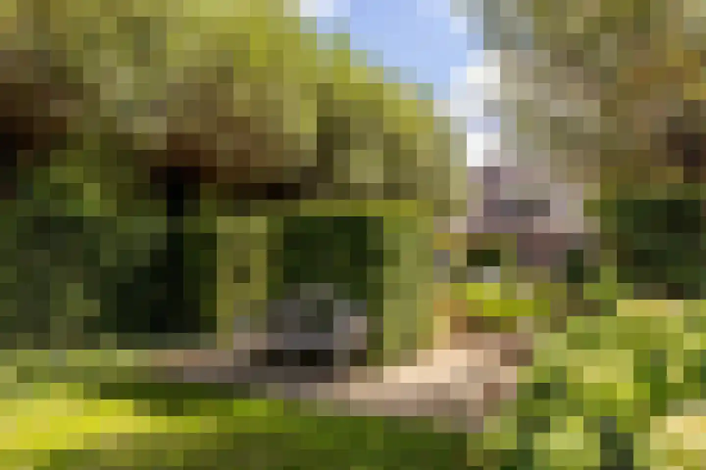 Hondseind 7 Alphen thumbnail 52