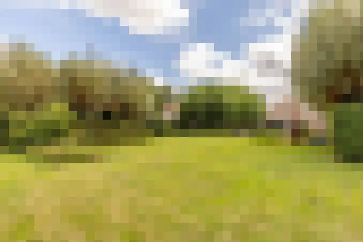 Hondseind 7 Alphen thumbnail 54