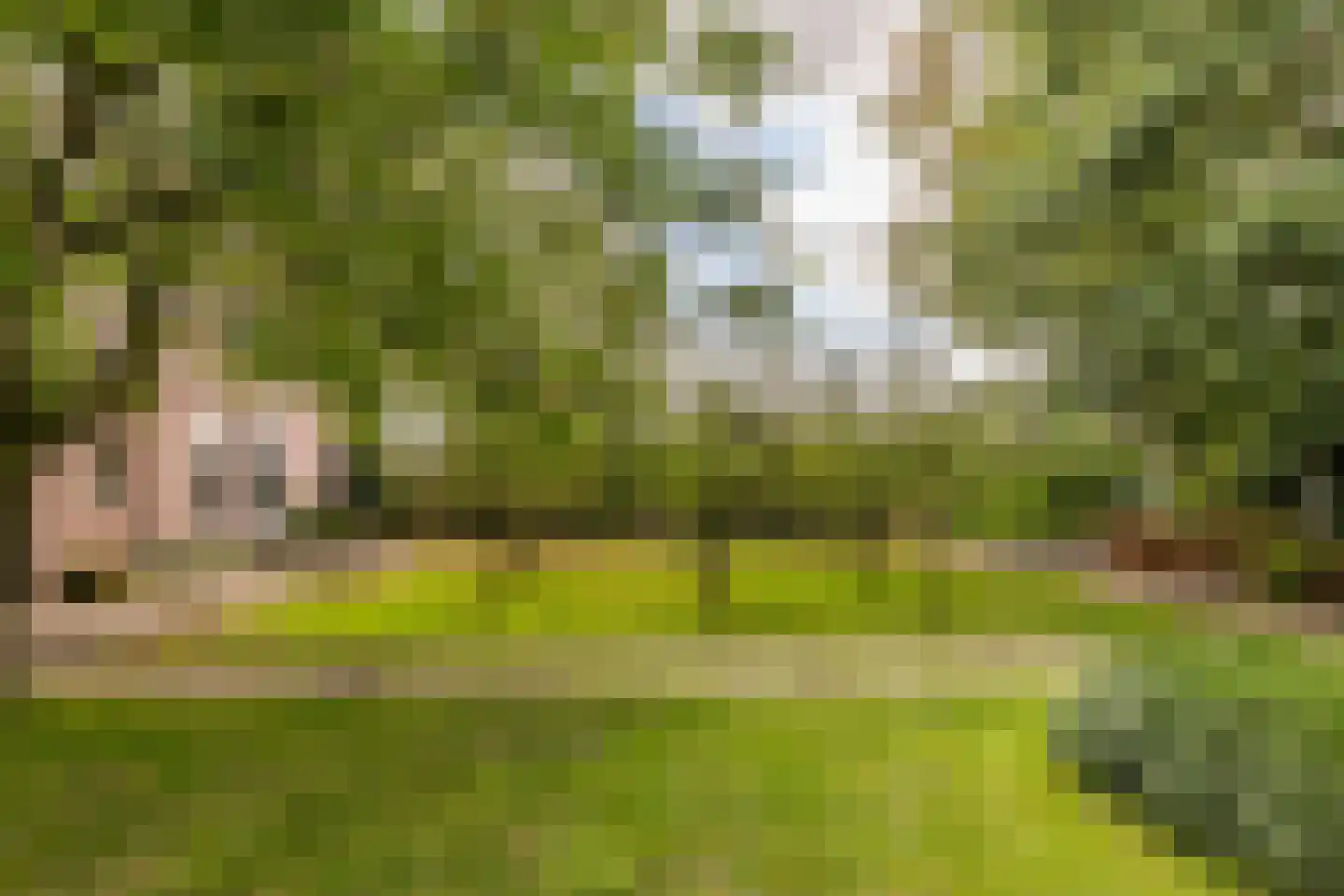 Hondseind 7 Alphen thumbnail 55