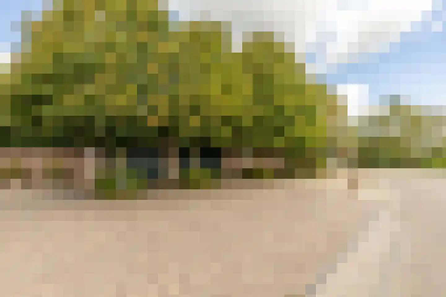 Hondseind 7 Alphen thumbnail 58