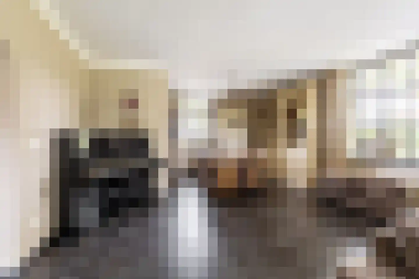 Hondseind 7 Alphen thumbnail 6