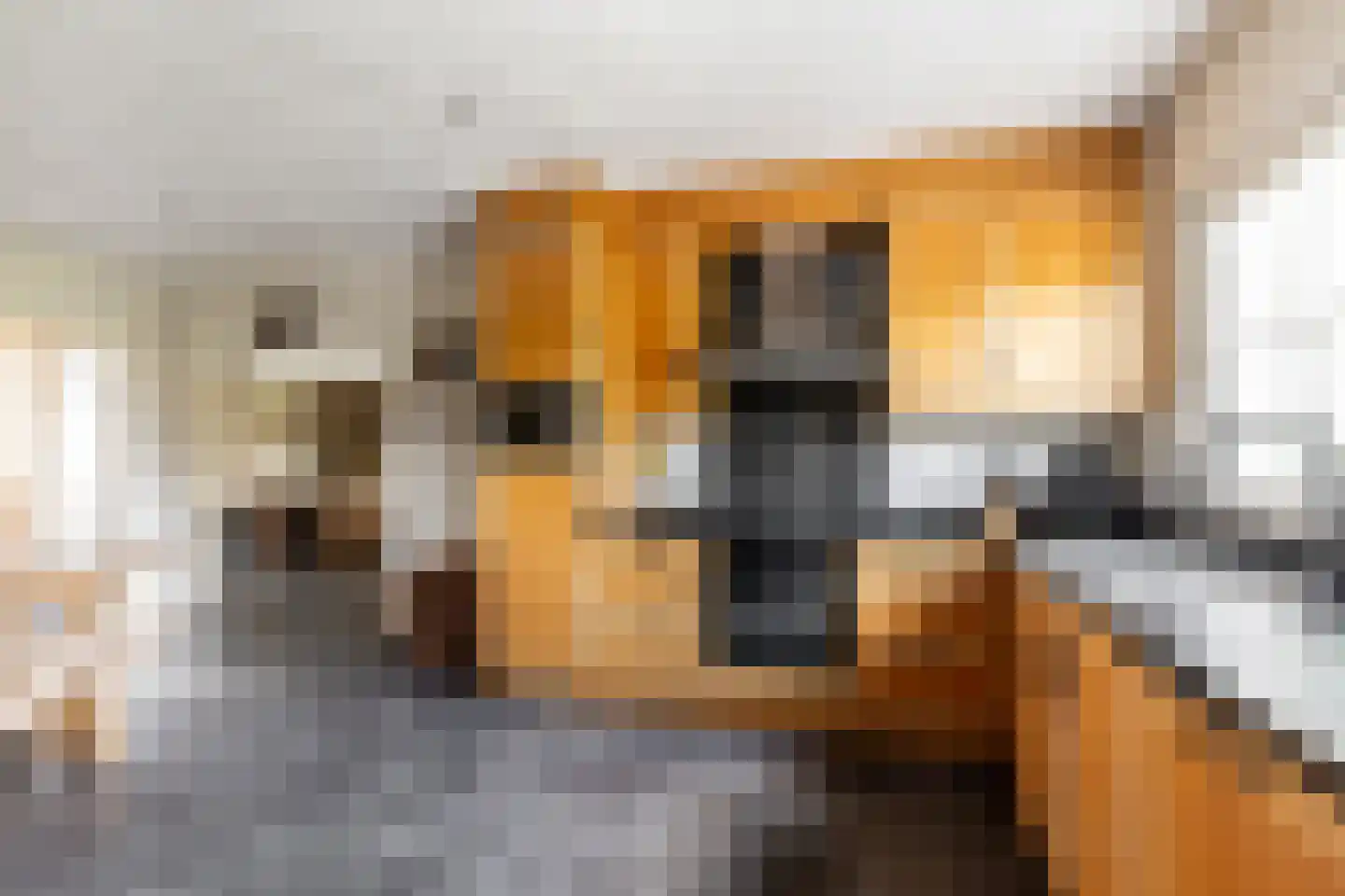 Hondseind 7 Alphen thumbnail 8