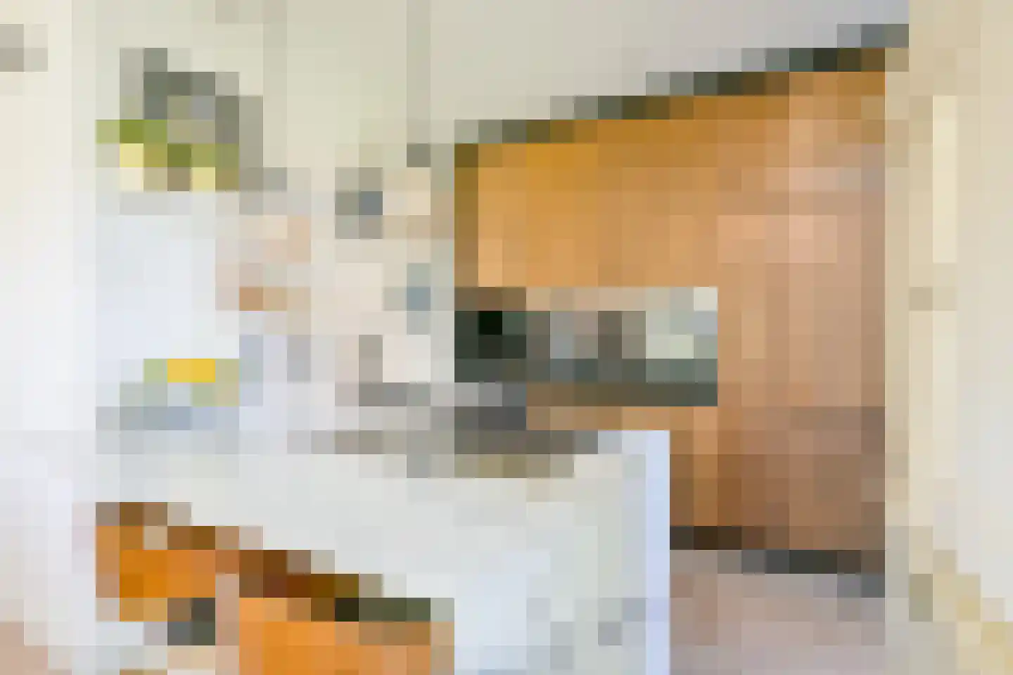 Hondshaai 8 Schagen thumbnail 10