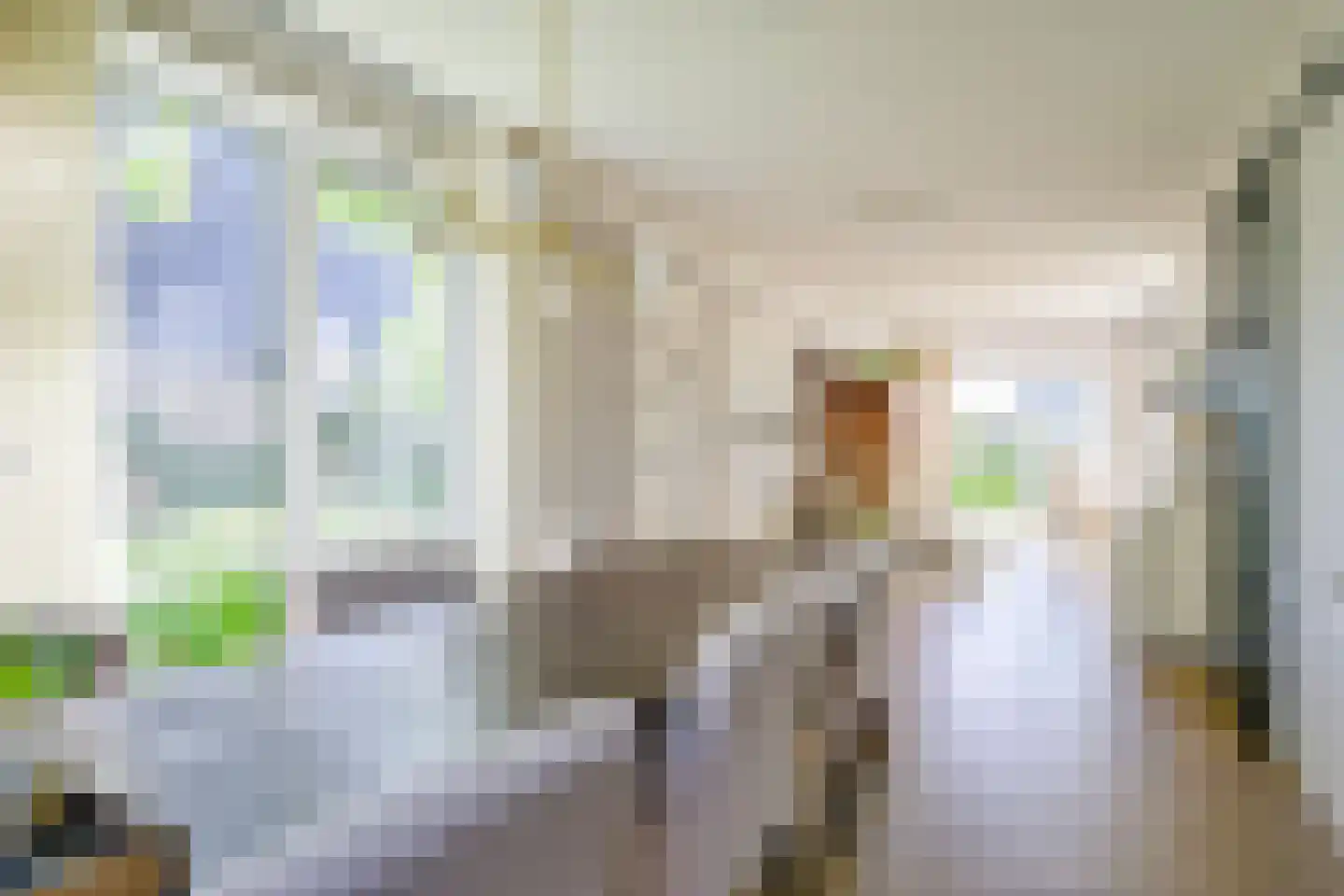 Hondshaai 8 Schagen thumbnail 11