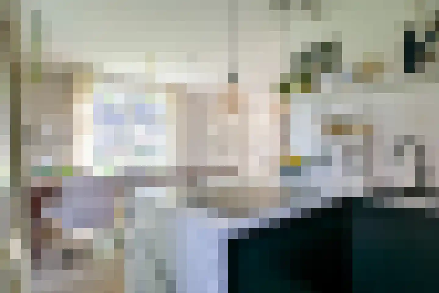 Hondshaai 8 Schagen thumbnail 12