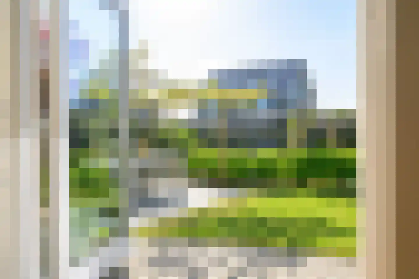 Hondshaai 8 Schagen thumbnail 13