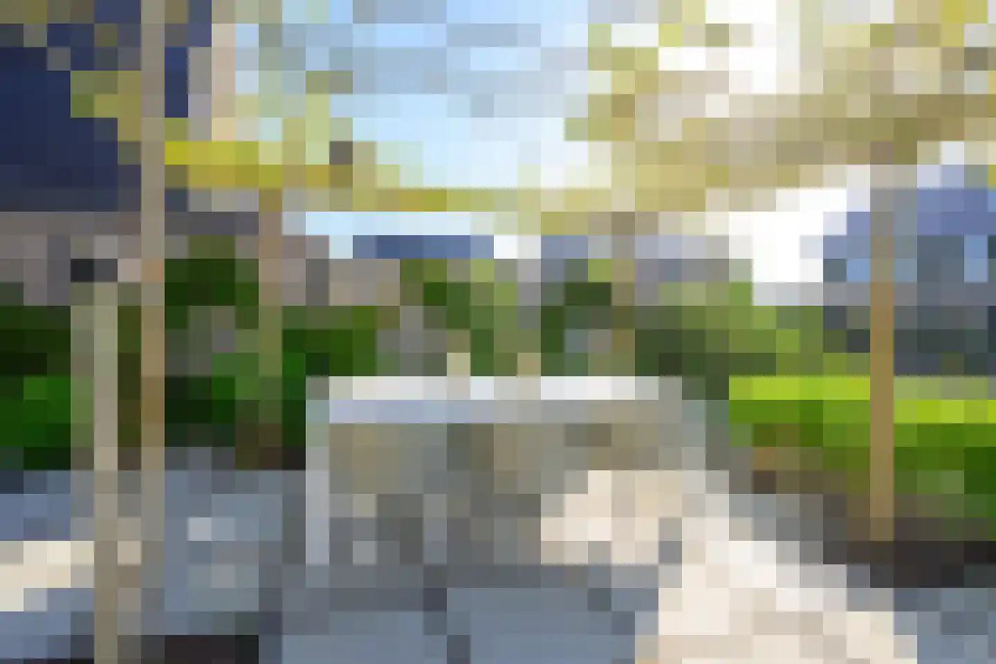 Hondshaai 8 Schagen thumbnail 14