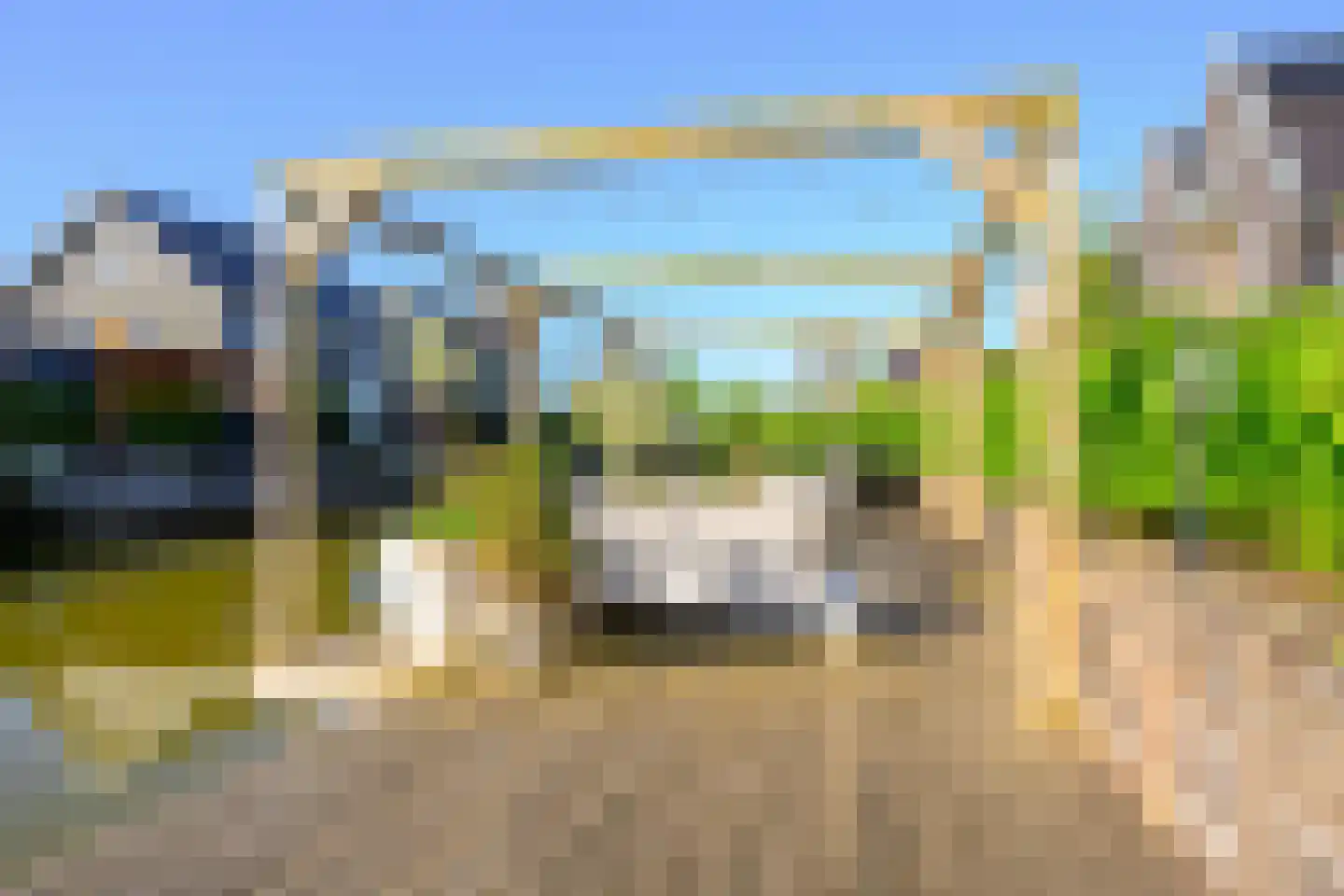 Hondshaai 8 Schagen thumbnail 16