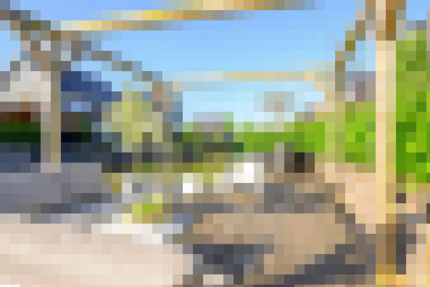 Hondshaai 8 Schagen thumbnail 17