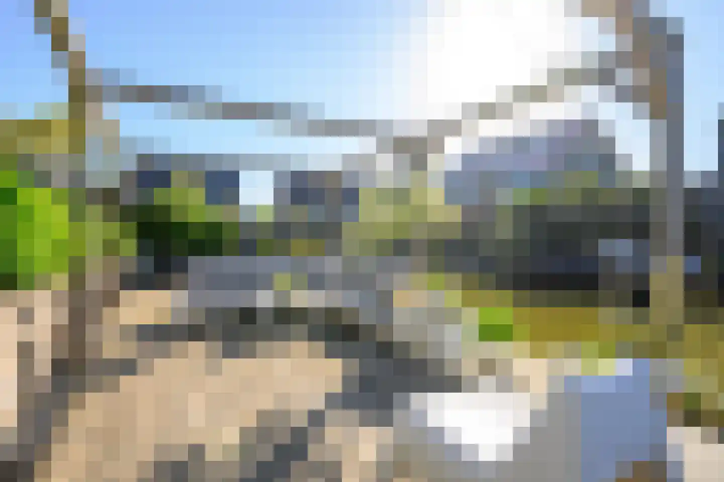 Hondshaai 8 Schagen thumbnail 18
