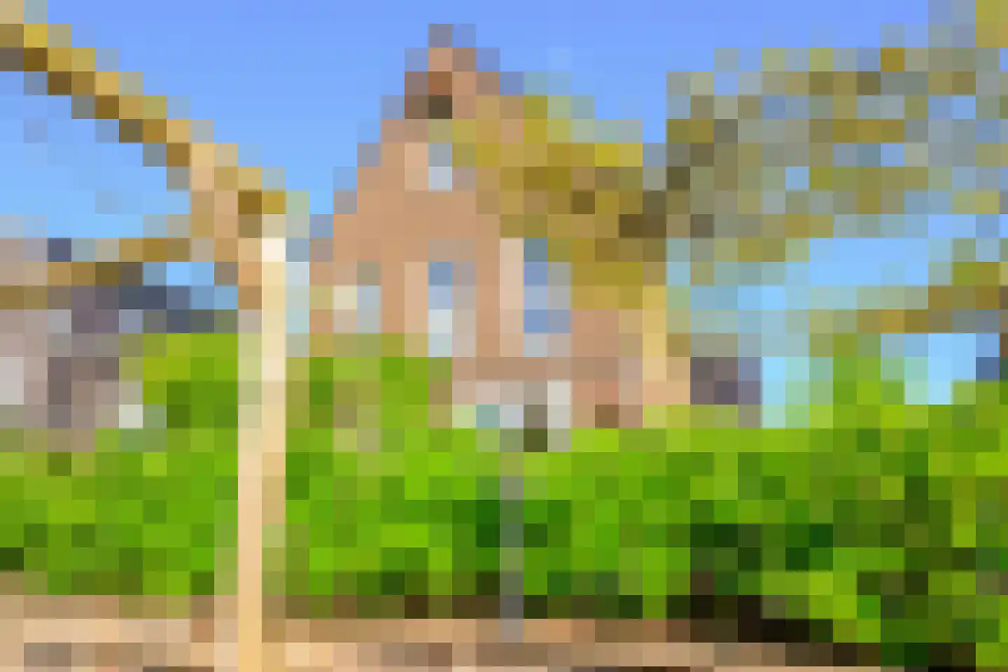 Hondshaai 8 Schagen thumbnail 19