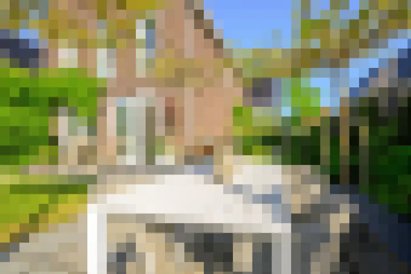 Hondshaai 8 Schagen thumbnail 20